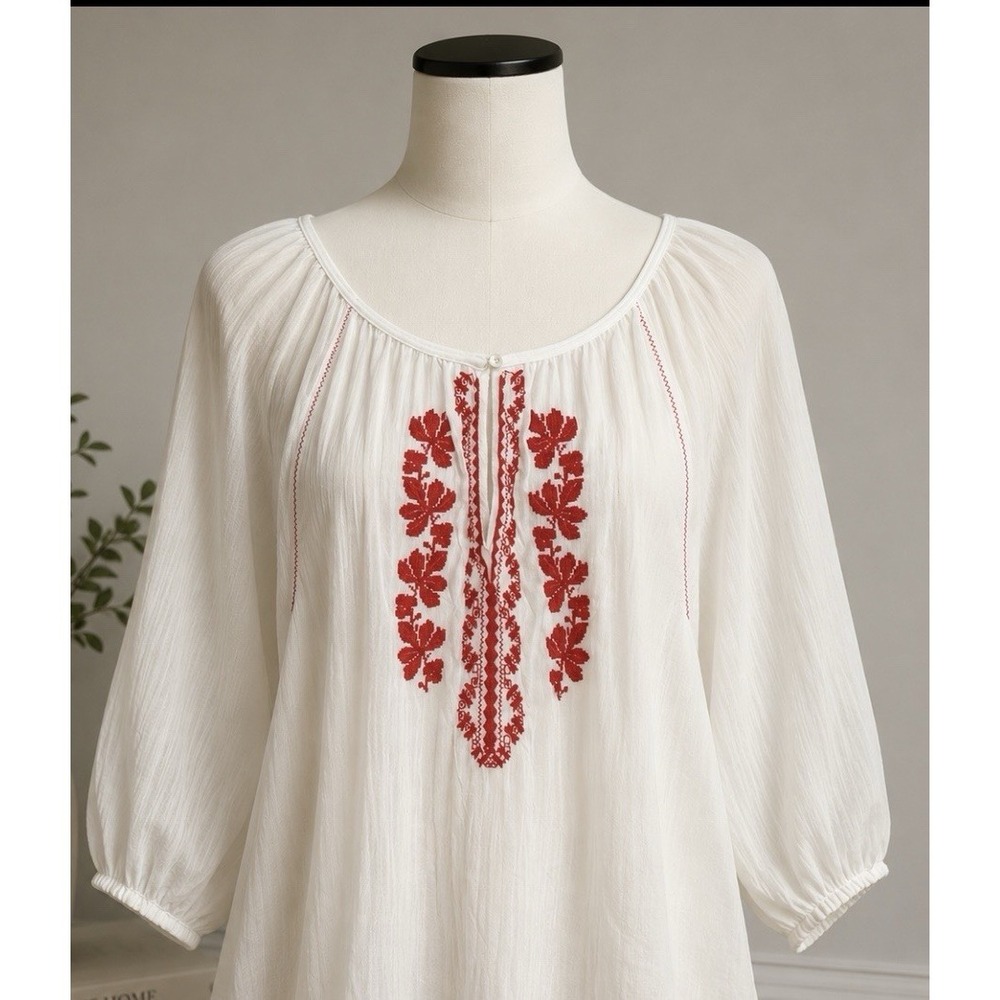 Women's HOLLISTER Sheer White Shirt Size Small Long Sleeve Embroidered Lace